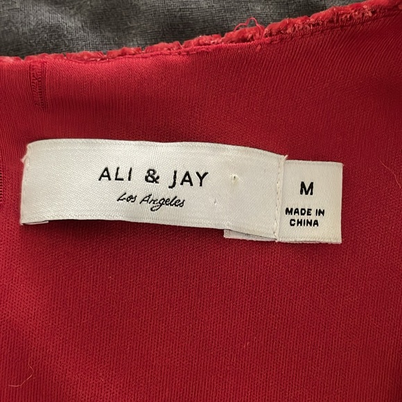 Ali & Jay velvet jumpsuit Samantha size M brick red Anthropologie - Picture 3 of 11